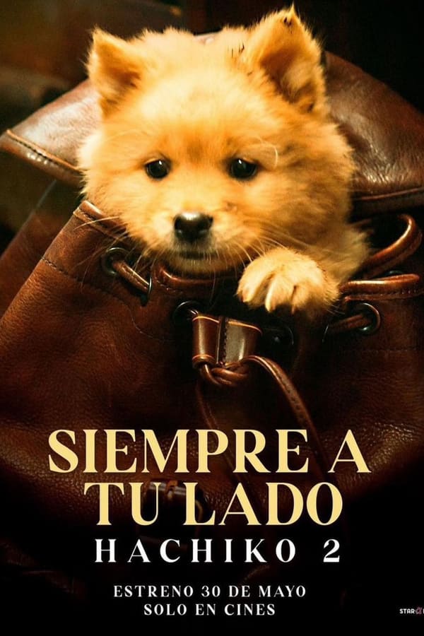Hachiko 2: Siempre a tu lado (2024)