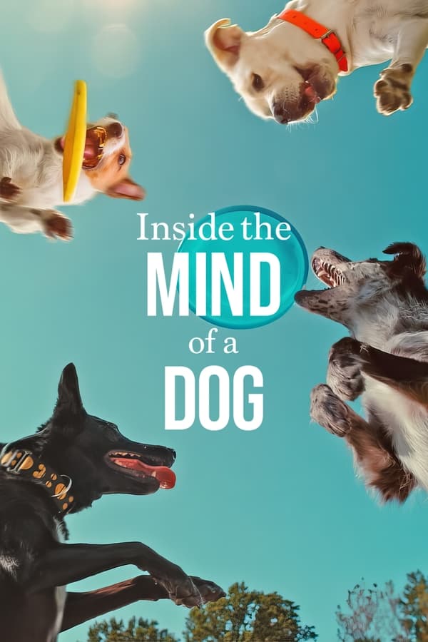 En la mente de un perro (2024)